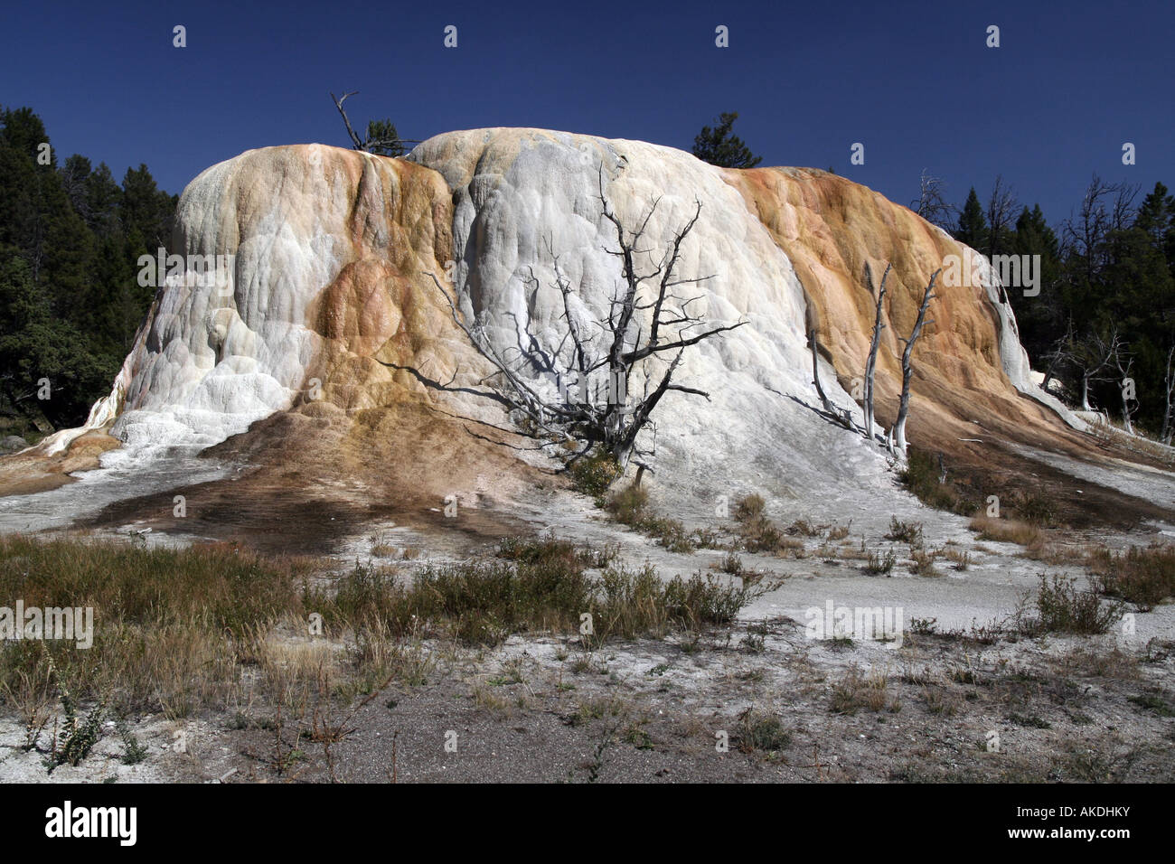 Orange Spring Mound, Upper Terrace Drive, Mammoth Hot Springs, Yellowstone National Park Stock Photo