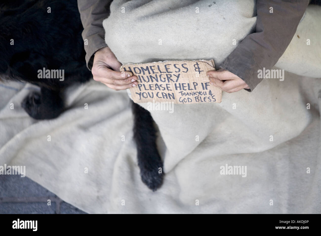 Hands of a young homeless person holding a sign with a message asking for help London England UK Stock Photo