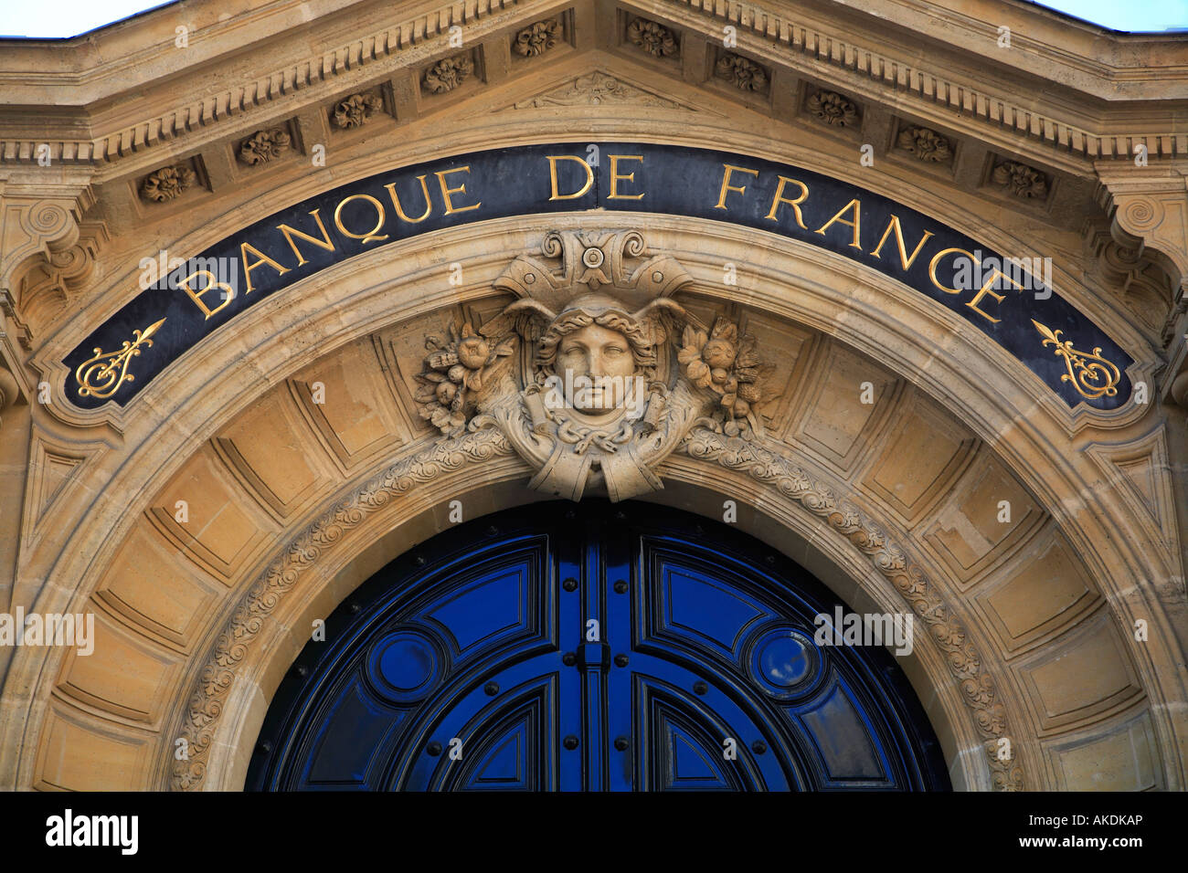 Verveine bleue Banque de photographies et d'images à haute résolution -  Alamy