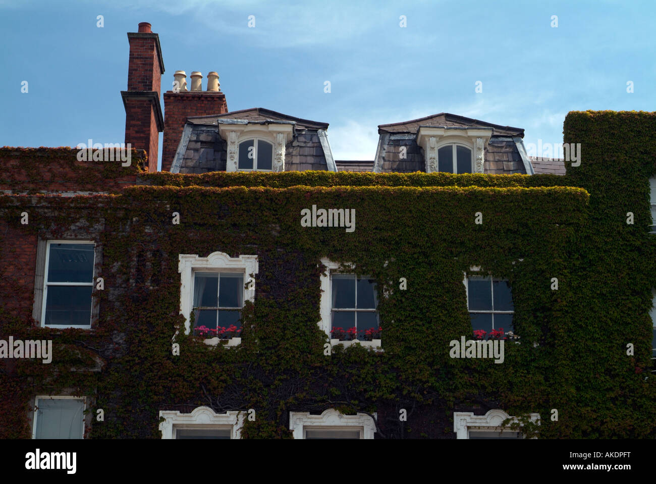 Dormer Style Windows Of An Ivy Covered Multi Story Georgian House