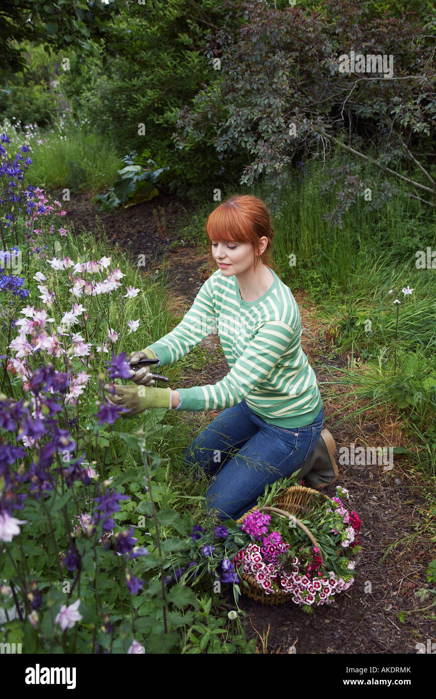 Woman picking flowers in garden Stock Photo Alamy