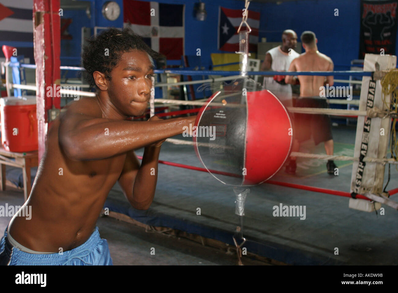 Miami Florida,Allapatah,Little Dominican Republic,Teo Cruz Boxing Gym,punching  bag,Black Blacks African Africans ethnic minority,adult adults man men  Stock Photo - Alamy