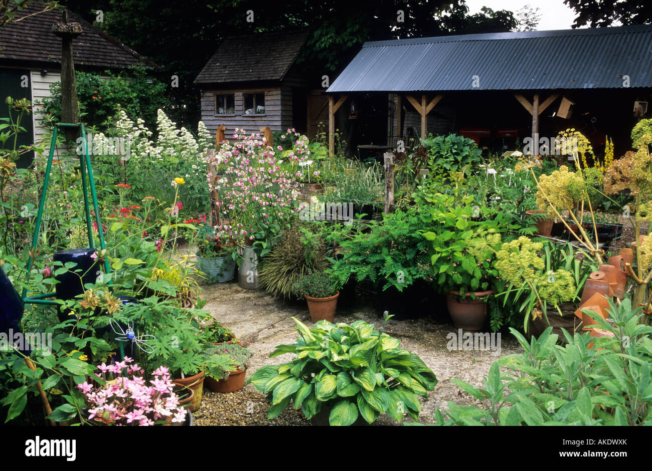Five Oaks Sussex small specialist nursery in country cottage garden Stock Photo