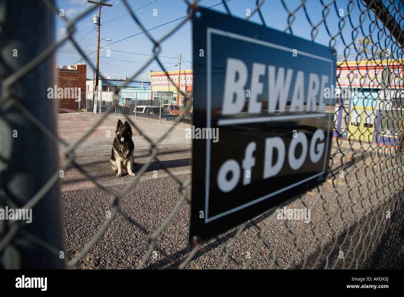 Guard dog behind 'Beware of dog' sign on fence Stock Photo Alamy