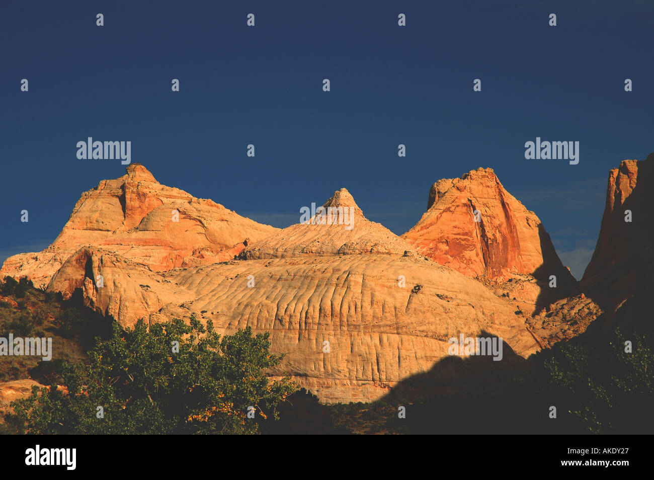 Utah Capitol Reef National Park Fern s Nipple geologic formation Stock Photo