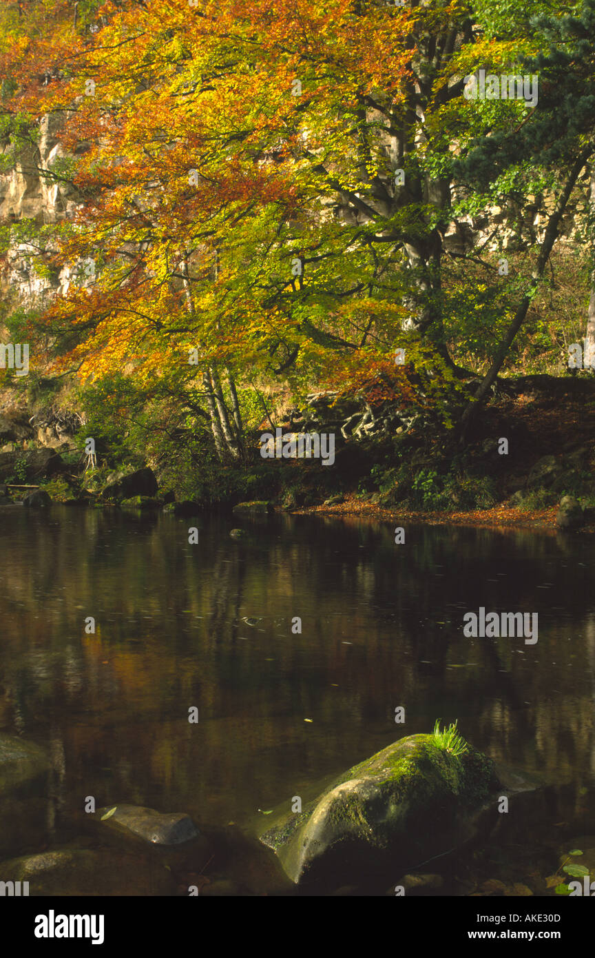 ENGLAND Northumberland Allen Banks A colourful display of autumn ...