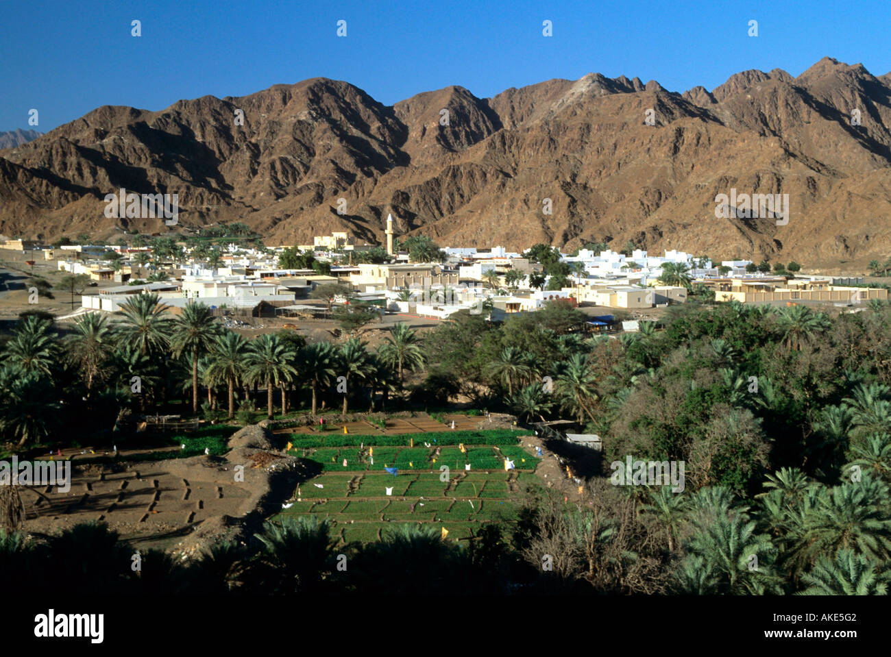 Masafi In Uae Uae fujairah oase bitnah der hi-res stock photography and images - Alamy