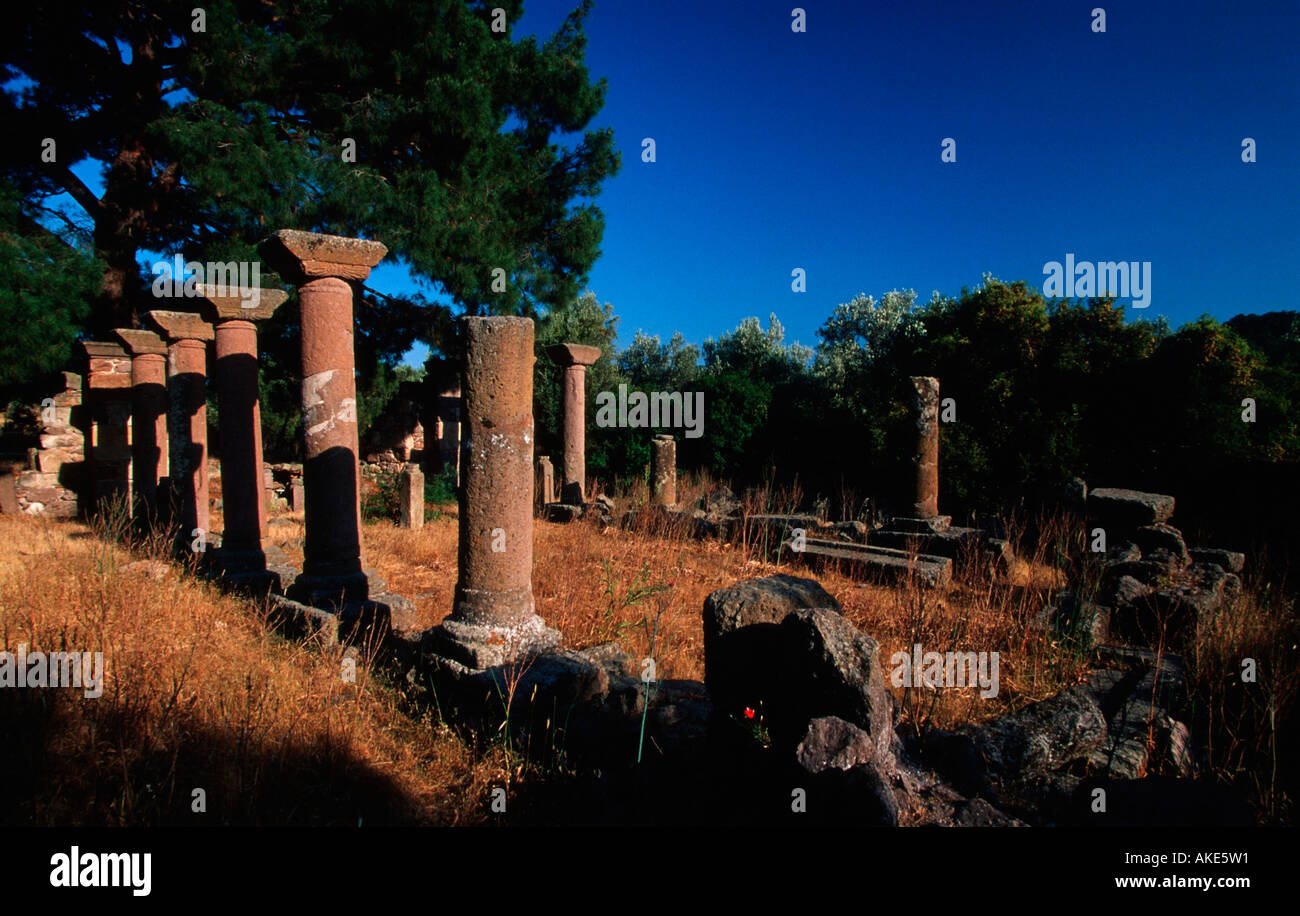 Europa, Griechenland, Lesbos, Agia Paraskevi, Halinado, Säulen der frühchristlichen Basilika Sankt Georg Stock Photo