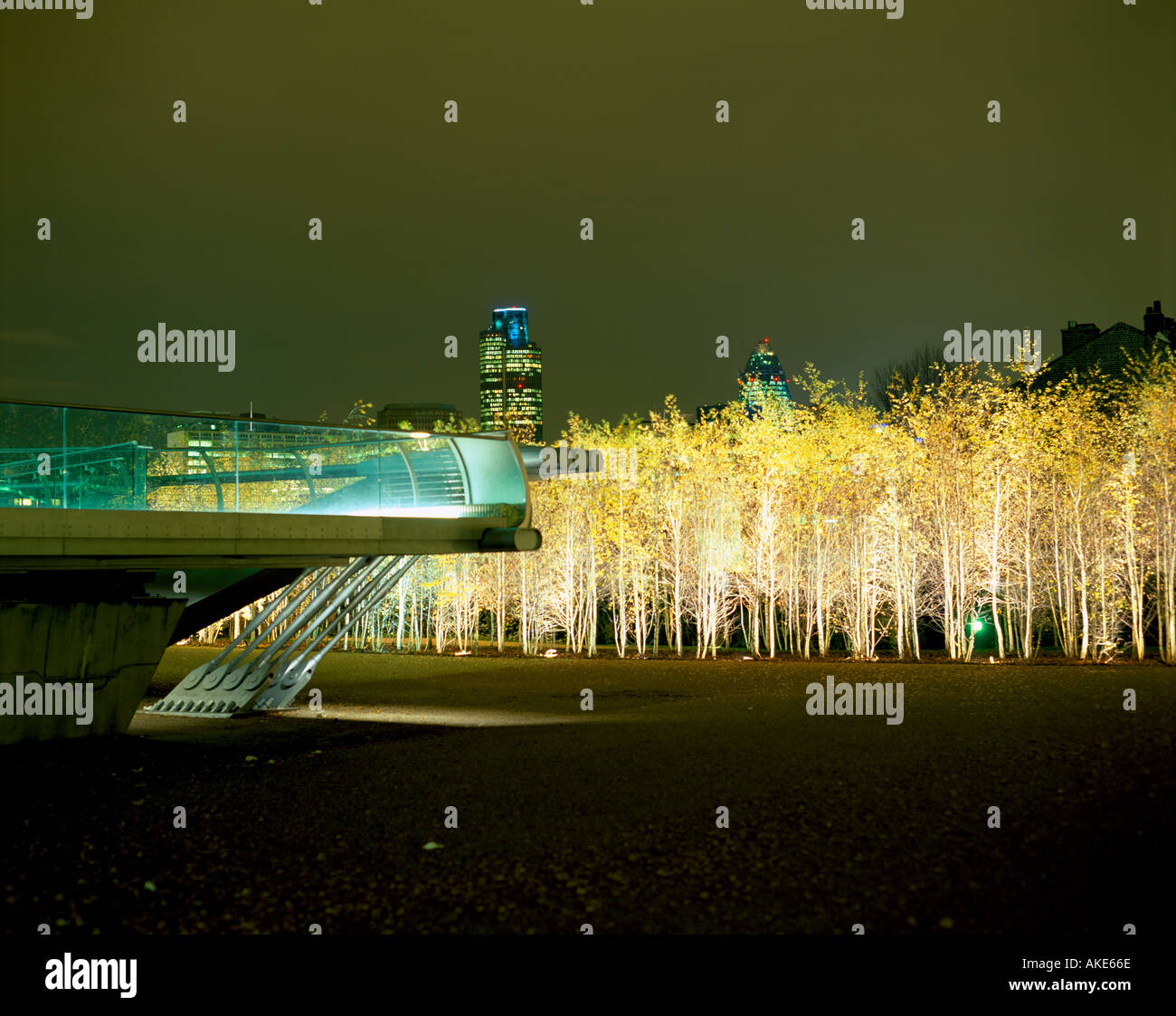 Night Time View of Silver Birches and Millennium Bridge Tate Modern London Stock Photo