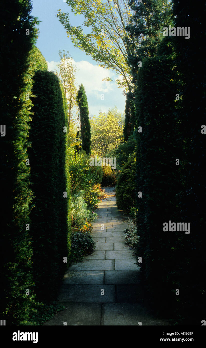 Great Comp Kent stone path between tall hedges Stock Photo - Alamy