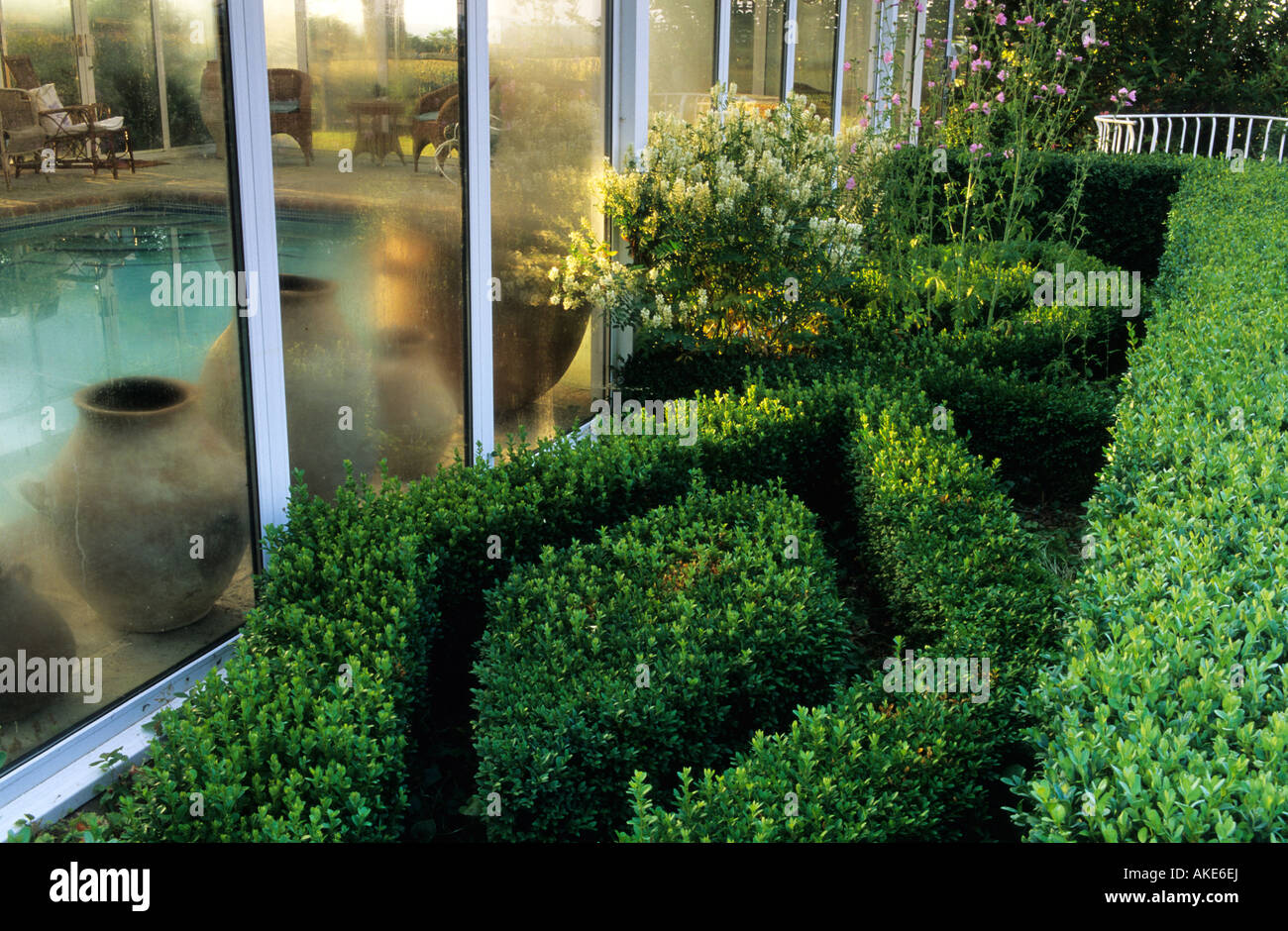 private garden Sussex small scale boxwood knot garden beside conservatory Stock Photo