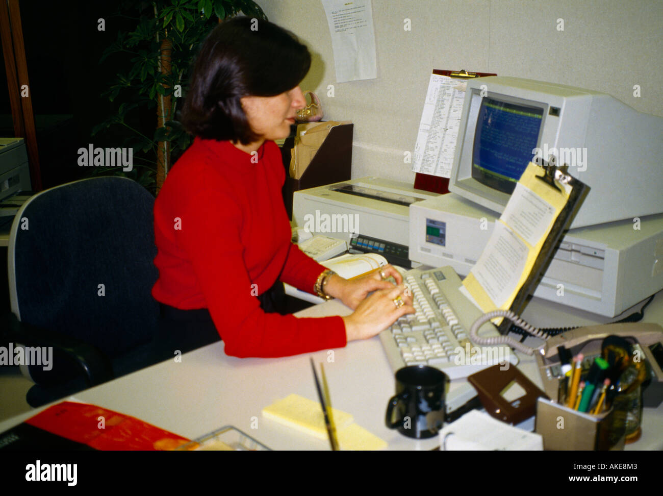 Kuwait City Kuwait Woman using Computer Stock Photo Alamy
