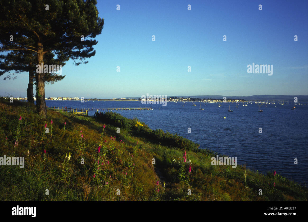 Evening hill sandbanks hires stock photography and images Alamy