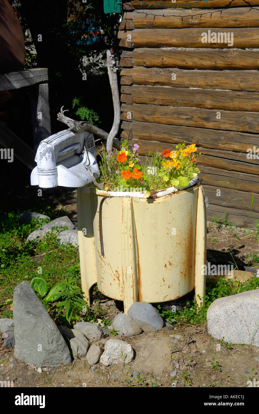 Antique Washing Machine Filled with Flowers Town of Talkeetna Alaska AK Northern Exposure near Denali National Park Mt McKinley Stock Photo