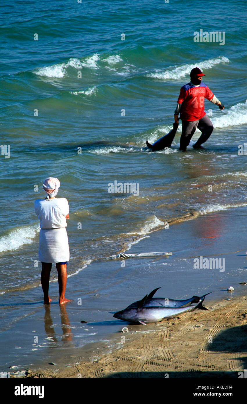 OM, Oman, Sur, Fischer am Strand von Sur Stock Photo
