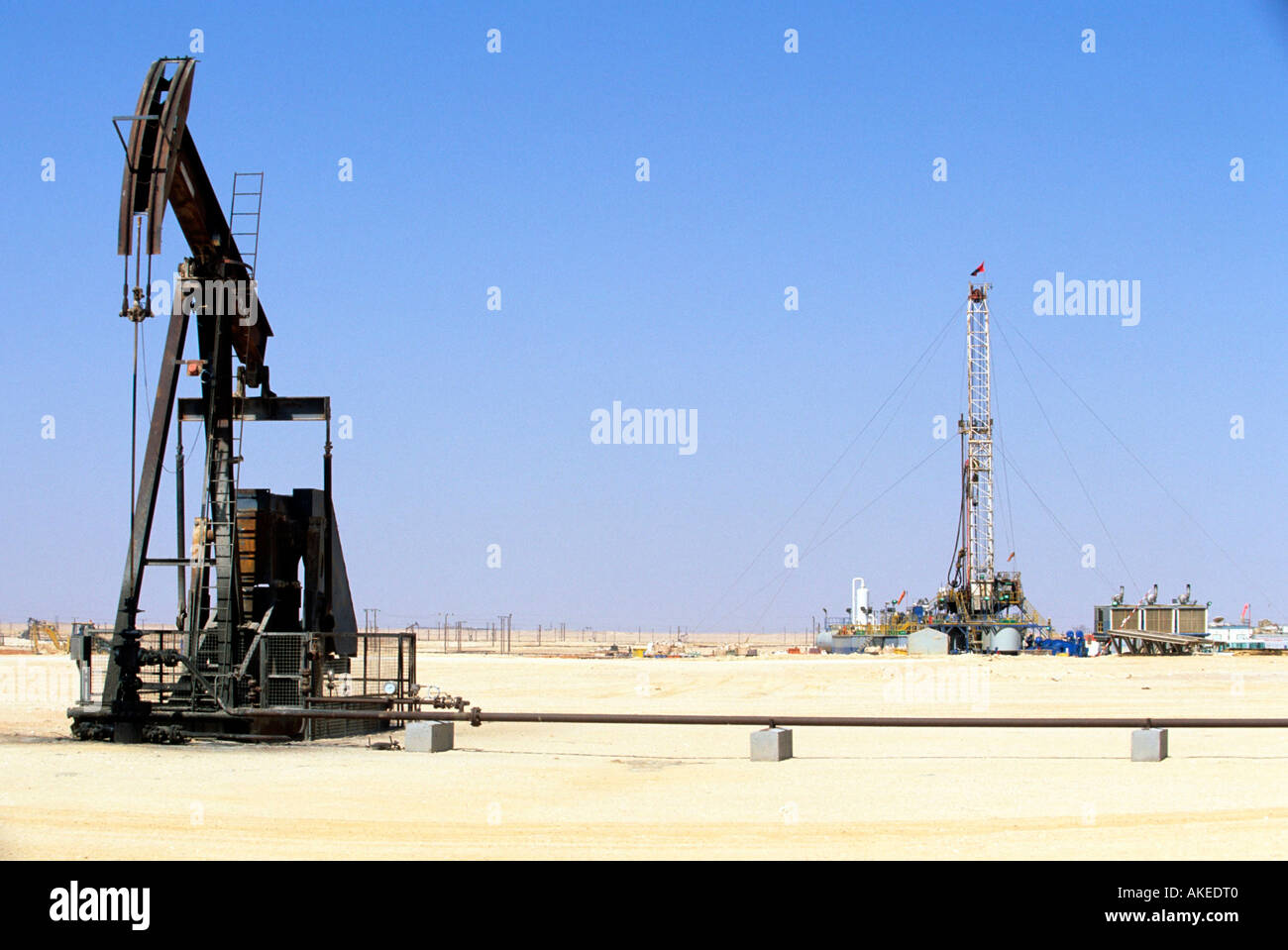 Marmul oil hires stock photography and images Alamy
