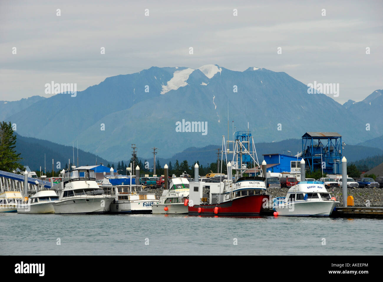 Charter and Working Fishing Boats Docked Public Boat Harbor Seward Alaska AK U S United States