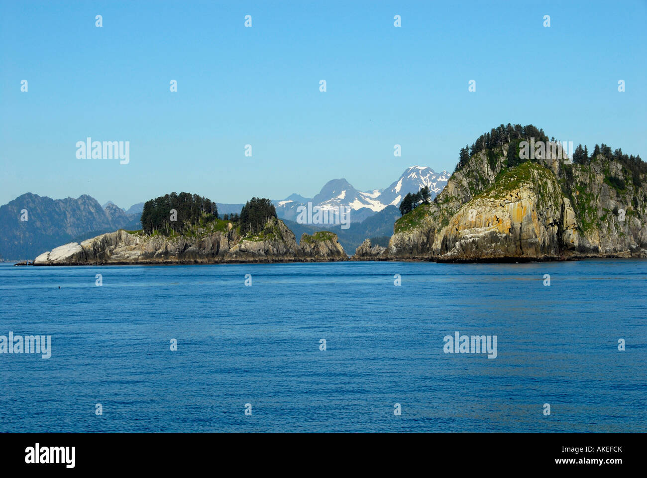 Rookeries hi-res stock photography and images - Alamy