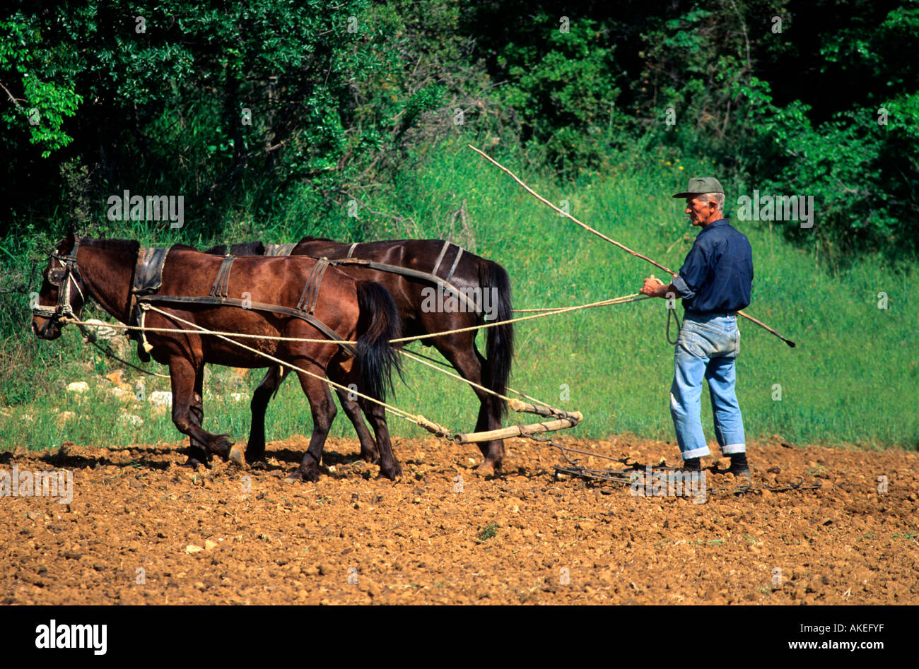 Horse drawn harrow hires stock photography and images Alamy