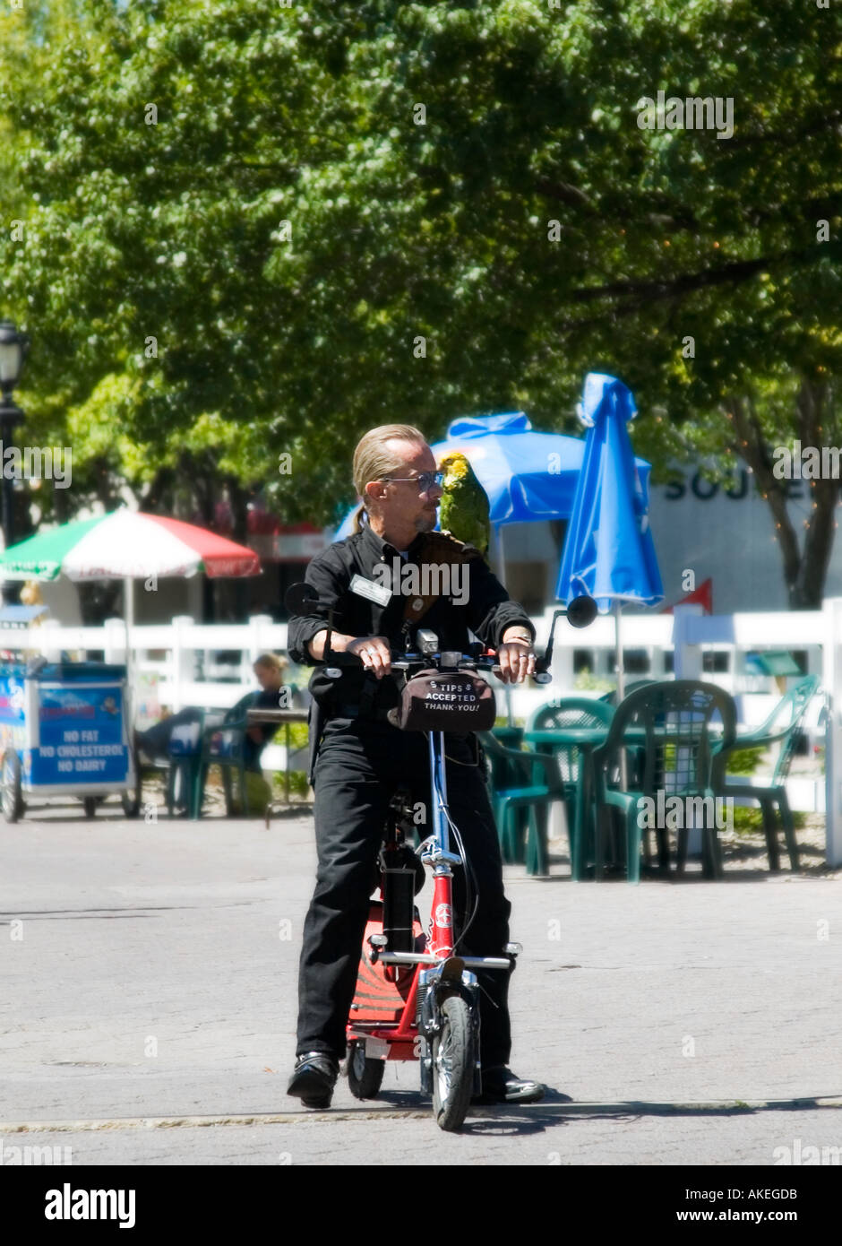 Man and Parrot Ride Motor Scooter at Niagara Falls NY USA Stock Photo