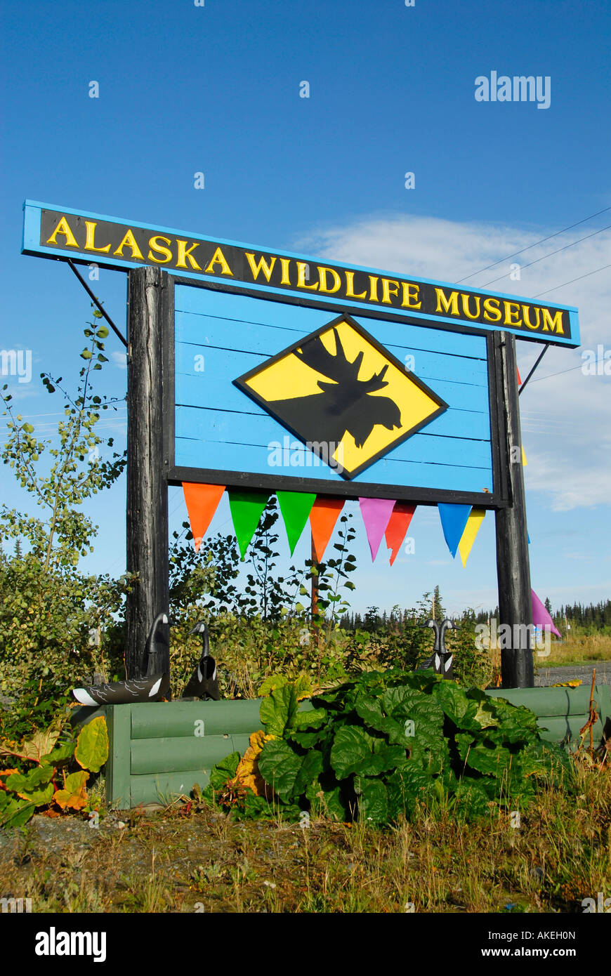 Alaska Wildlife Museum Glennallen Alaska AK U S United States at