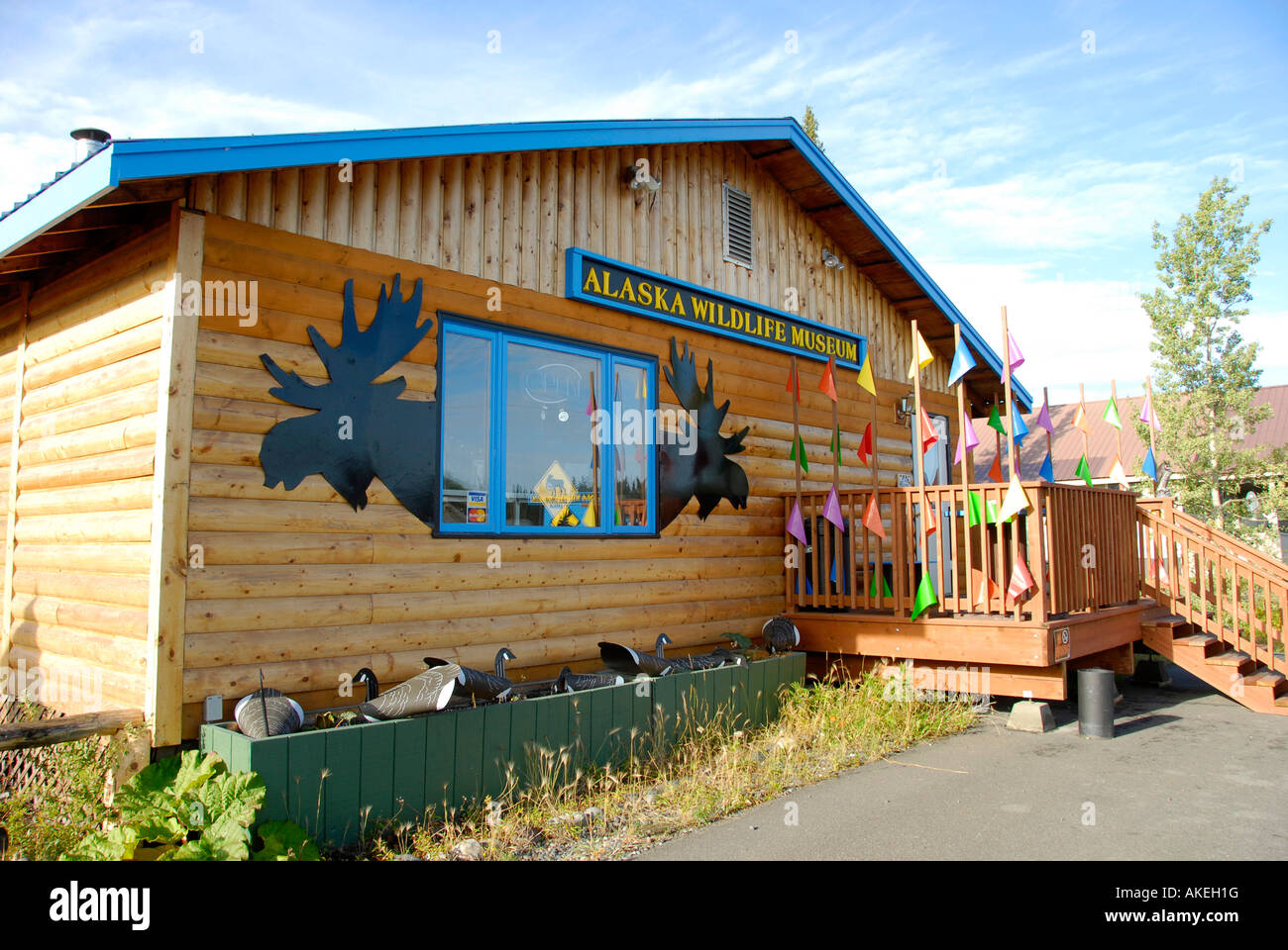 Alaska Wildlife Museum Glennallen Alaska AK U S United States at ...