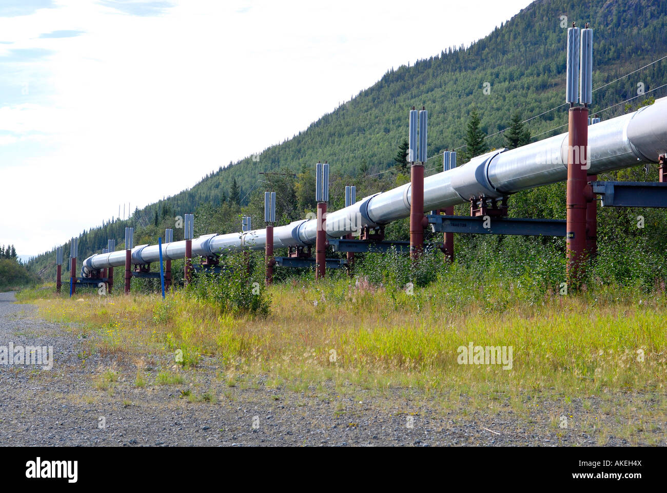 Trans Alaska Pipeline along Richardson Highway near Copper Center Alaska AK U S United States fuel oil black gold energy Stock Photo