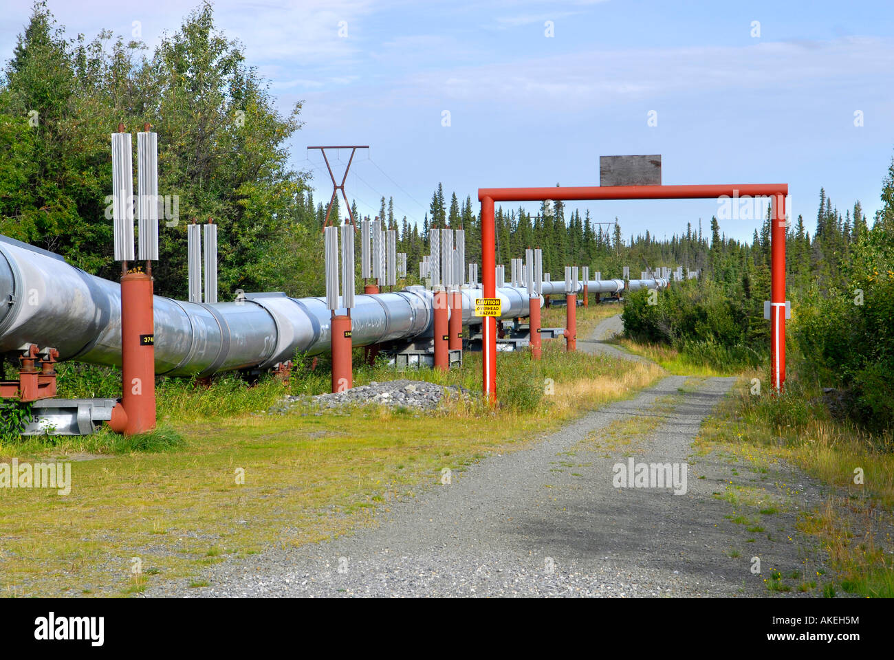 Trans Alaska Pipeline along Richardson Highway near Copper Center Alaska AK U S United States fuel oil black gold energy Stock Photo