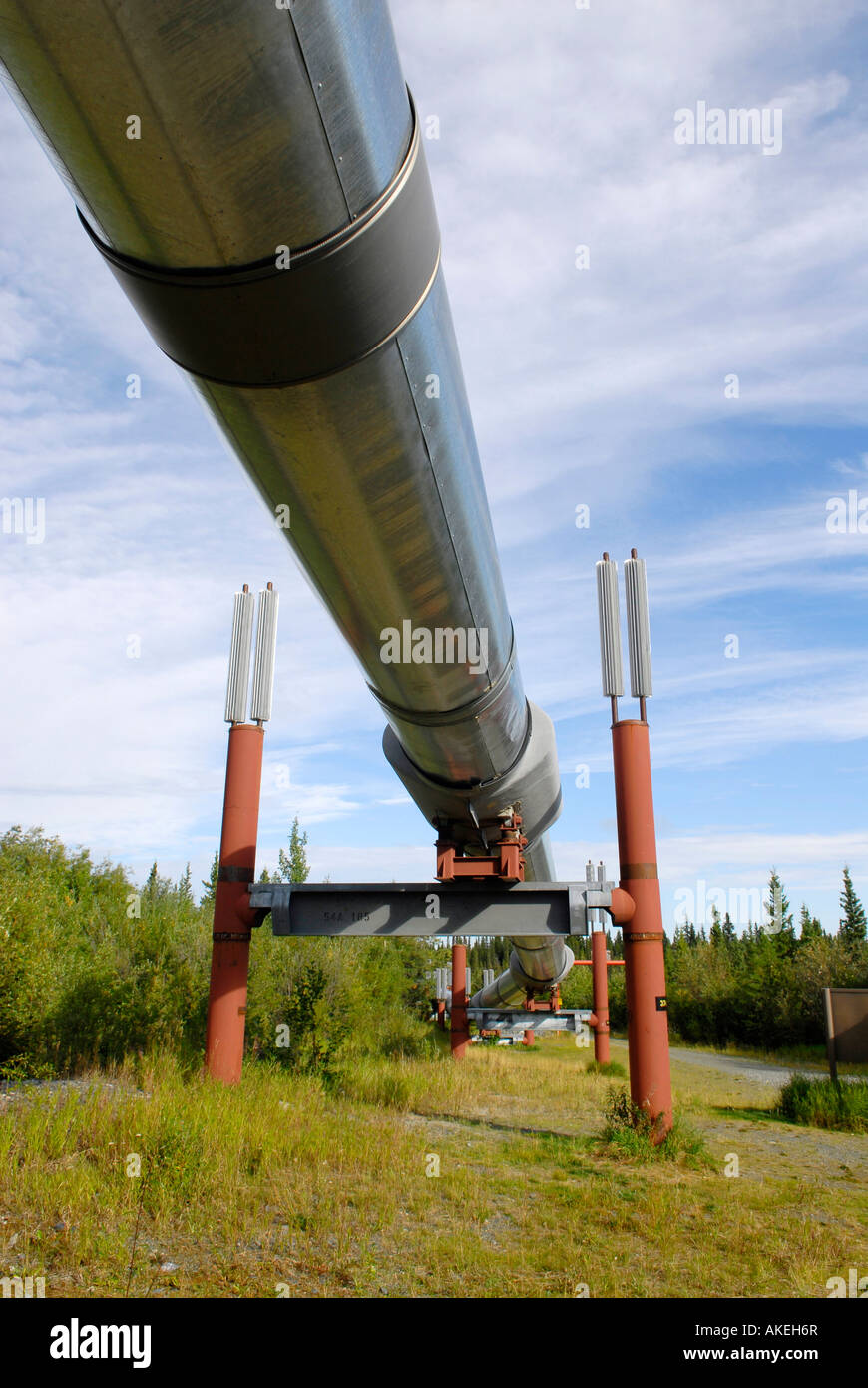 Trans Alaska Pipeline along Richardson Highway near Copper Center Alaska AK U S United States fuel oil black gold energy Stock Photo
