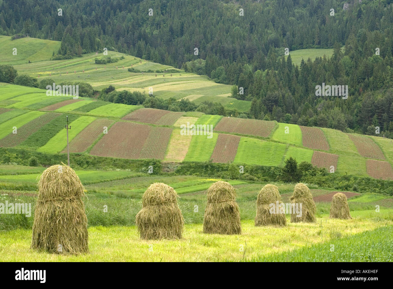 Open field systems in Tatra foothills, southern Poland near Nowy Sacz. Stock Photo