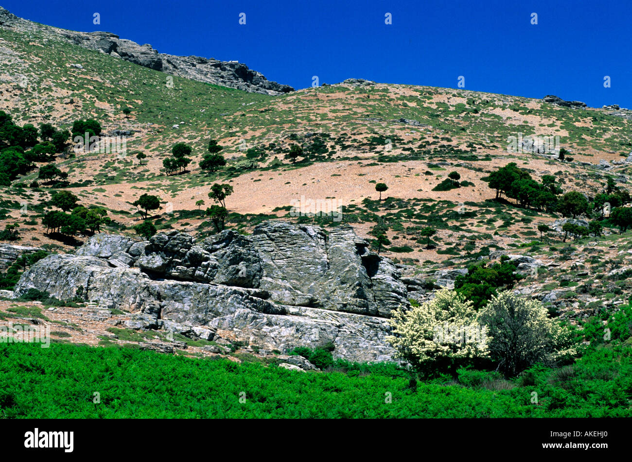 Griechenland, Ikaria, an der Strasse von Langada nach Kalamos an der Westküste Stock Photo