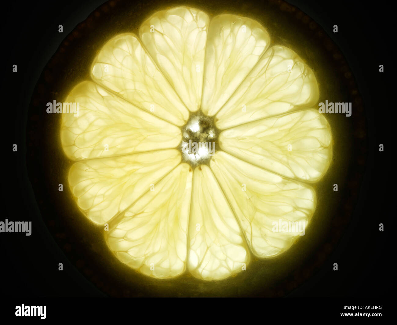 A translucent slice of lemon editorial food Stock Photo - Alamy