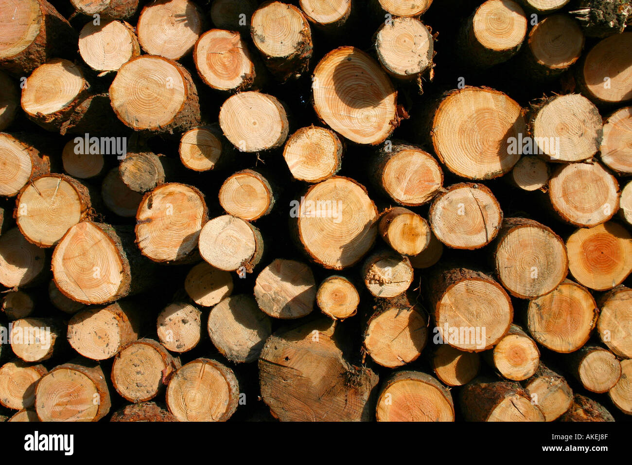 Stackly Logs Wood lot stacked logs hi-res stock photography and images - Alamy