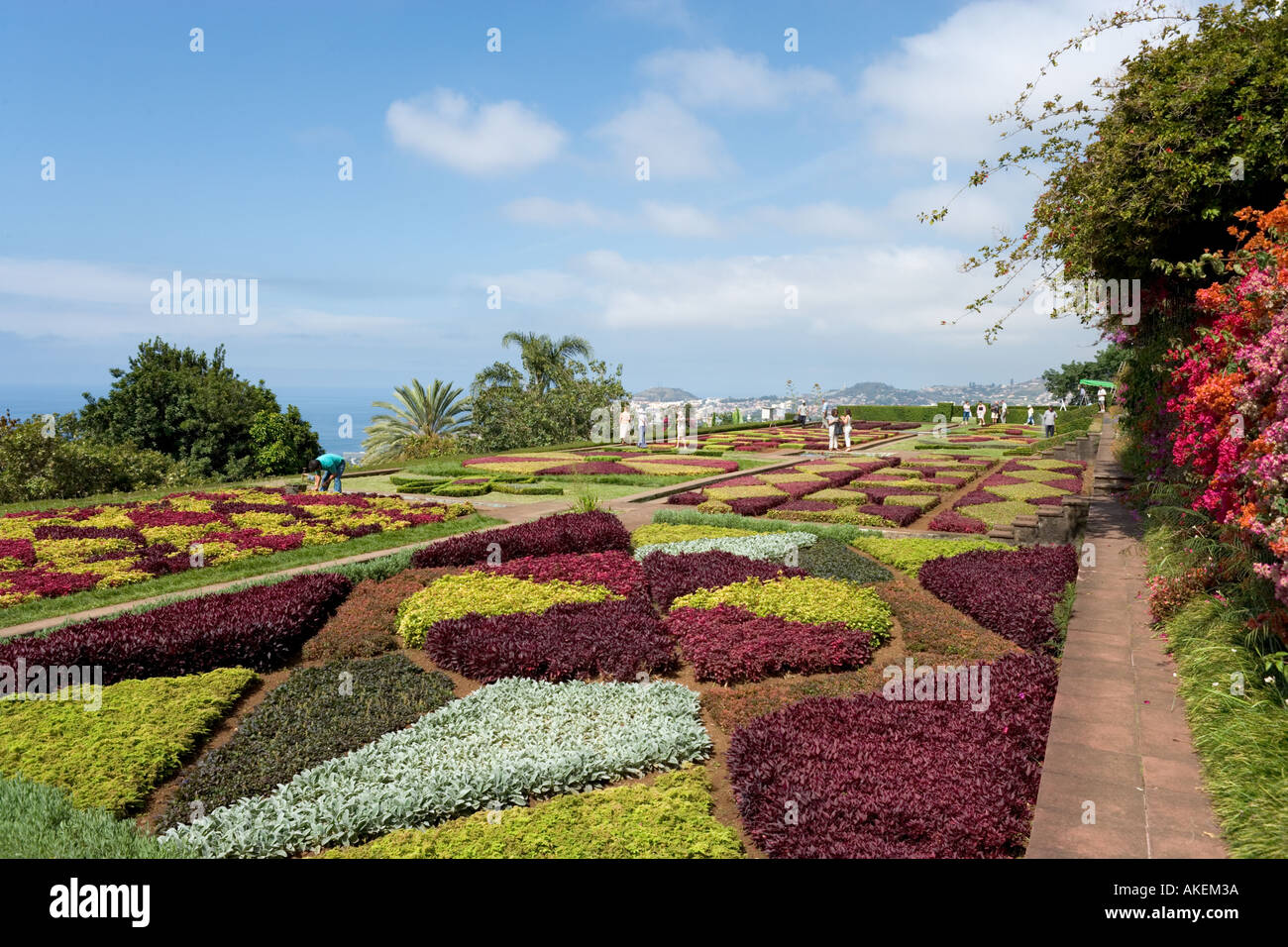 Botanical Gardens, Funchal, Madeira, Portugal Stock Photo
