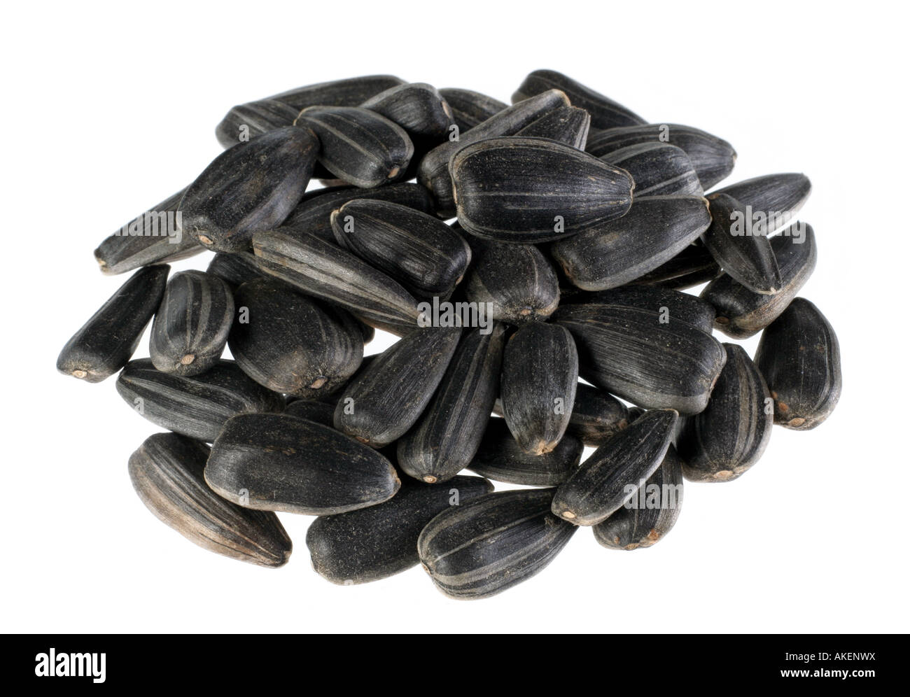 Sunflower black seed isolated on white background Stock Photo - Alamy