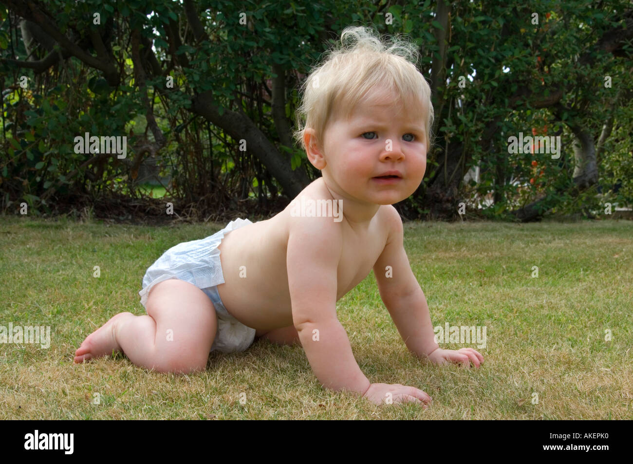 babies at 9 months of age