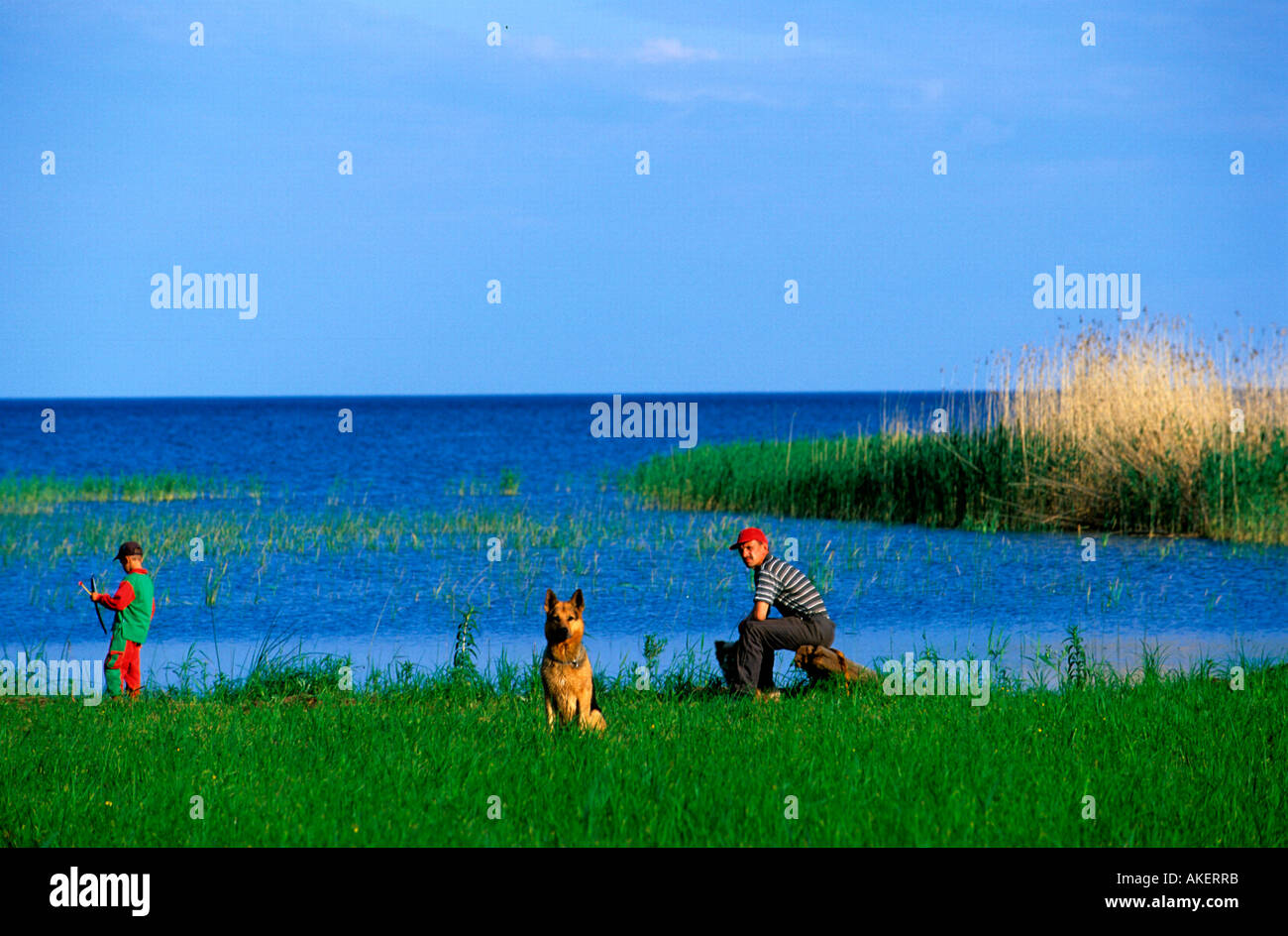 Estland, am Nordwestufer des Peipsi-Sees bei Mustvee (Tschorna) Stock Photo
