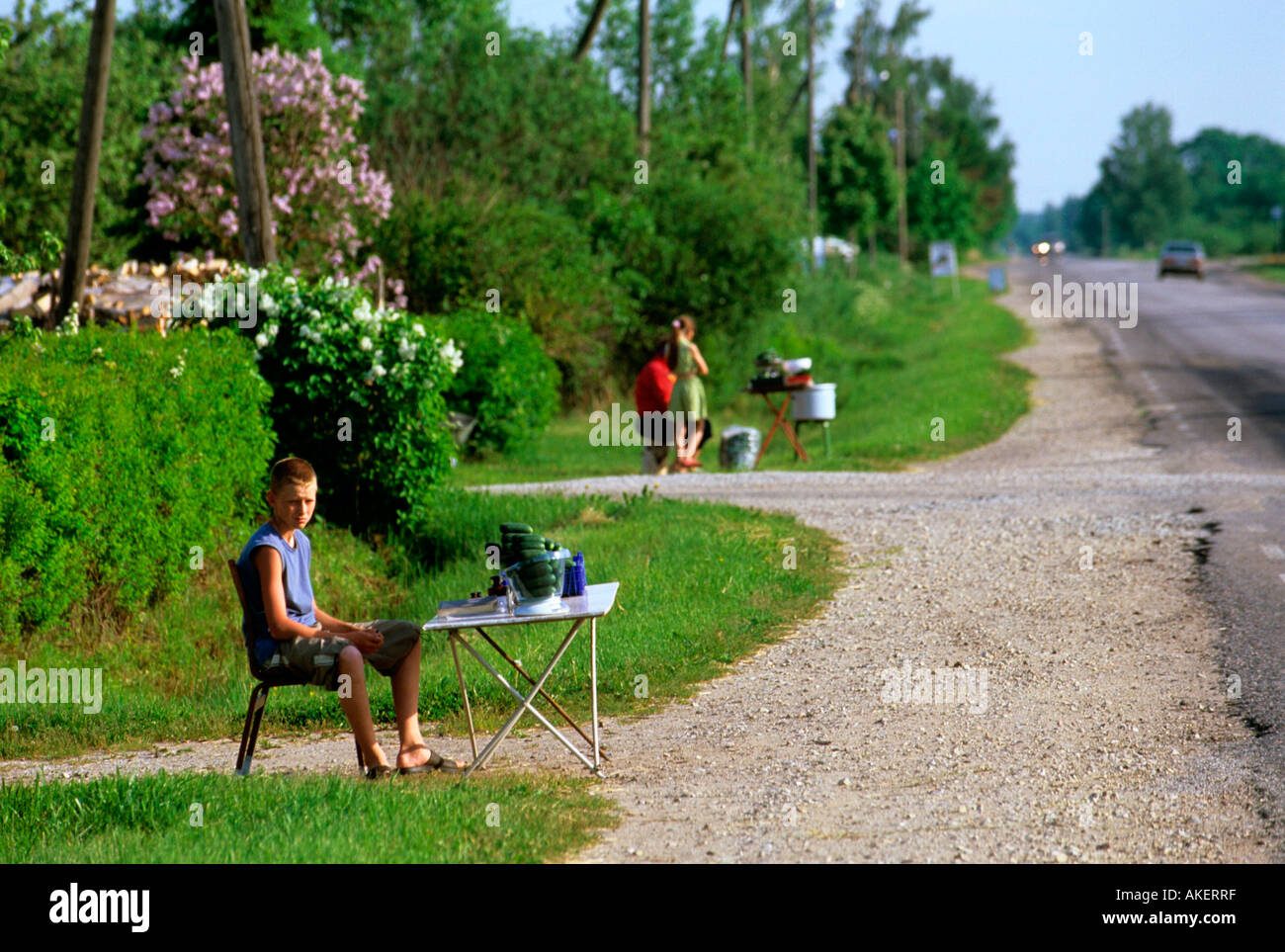 Estland, Mustvee (Tschorna), Verkauf von Gurken an der Strasse Stock Photo