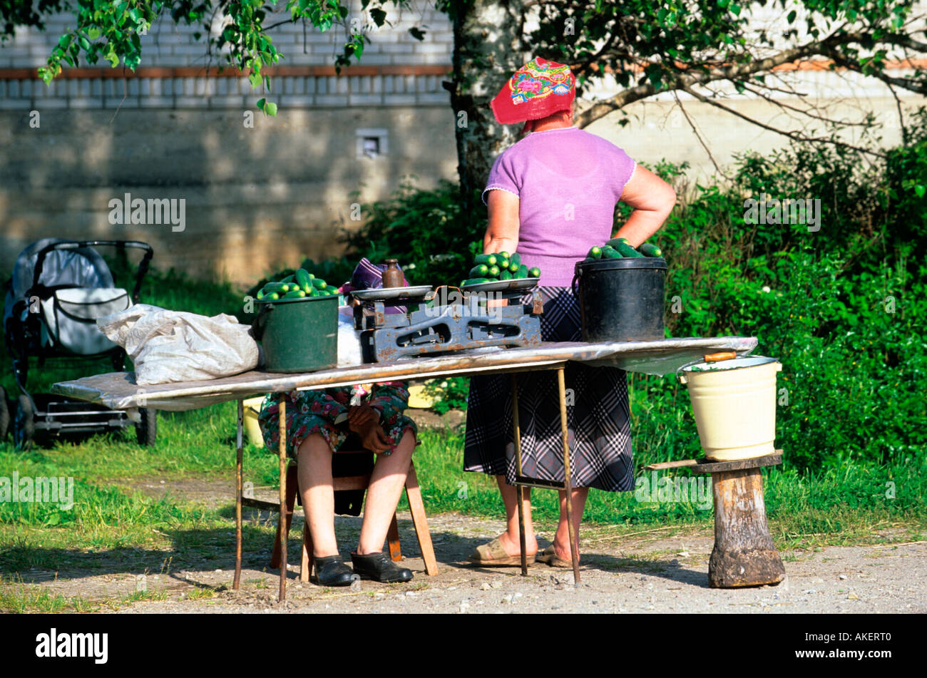 Estland, Mustvee (Tschorna), Verkauf von Gurken an der Strasse Stock Photo