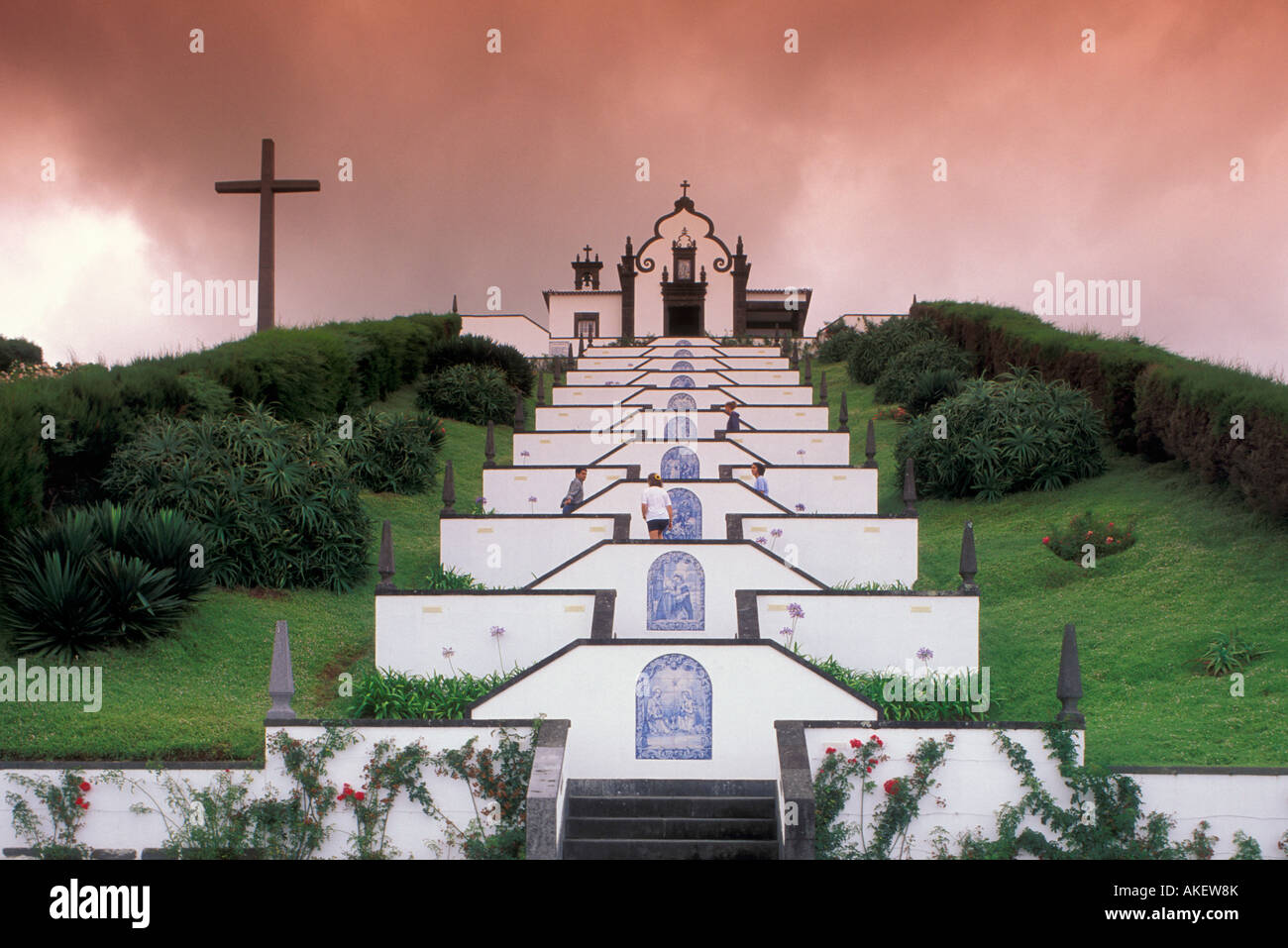 Vila (fairy) visual data 3