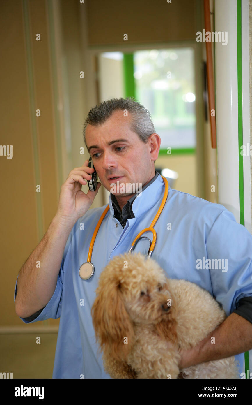 veterinary with dog and mobile phone Stock Photo Alamy