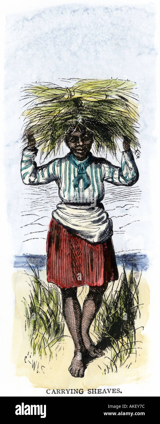 African American woman carrying sheaves on a rice plantation Stock Photo