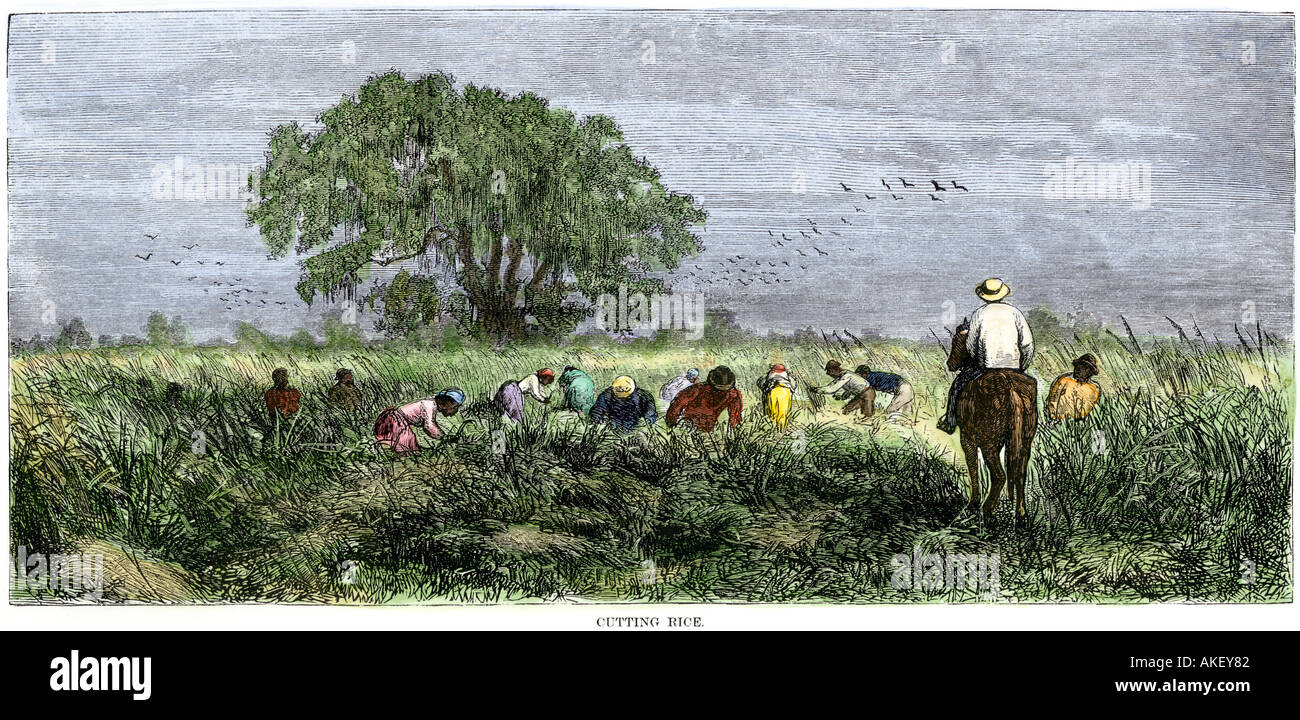 Overseer slavery hires stock photography and images Alamy