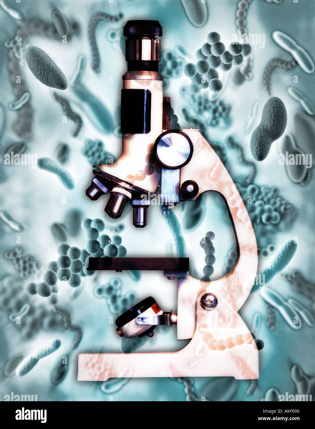 bacteria and virus with microscope symbol of research Stock Photo