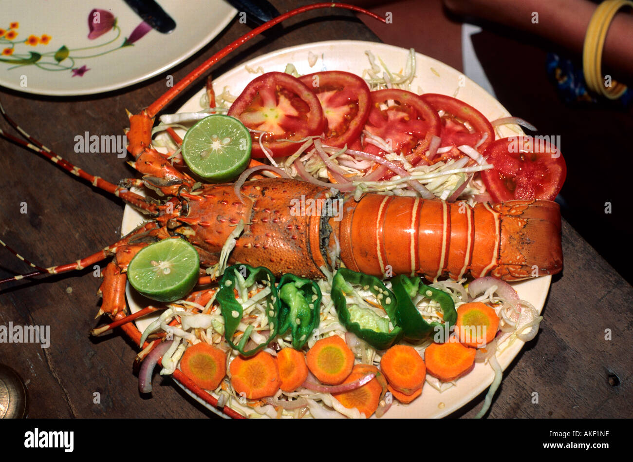 Indien, Goa, Spiny lobster at a plate Stock Photo Alamy