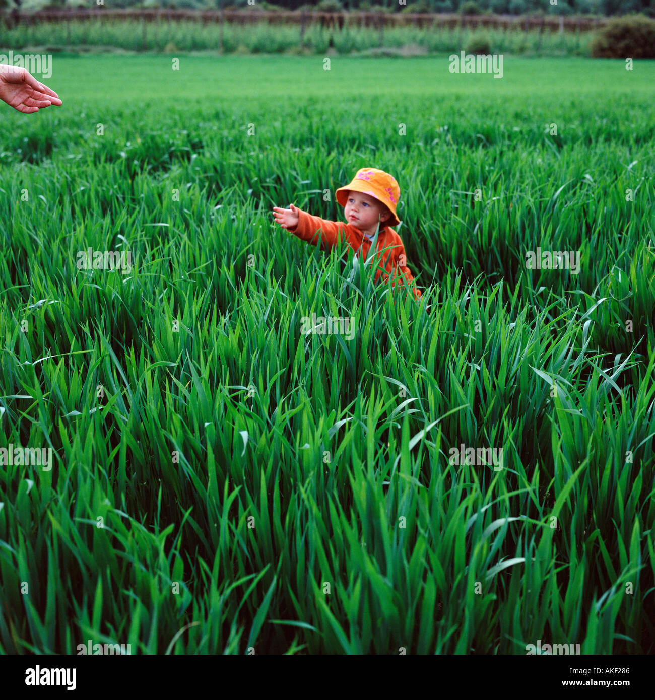 Child in field reaching out Stock Photo - Alamy