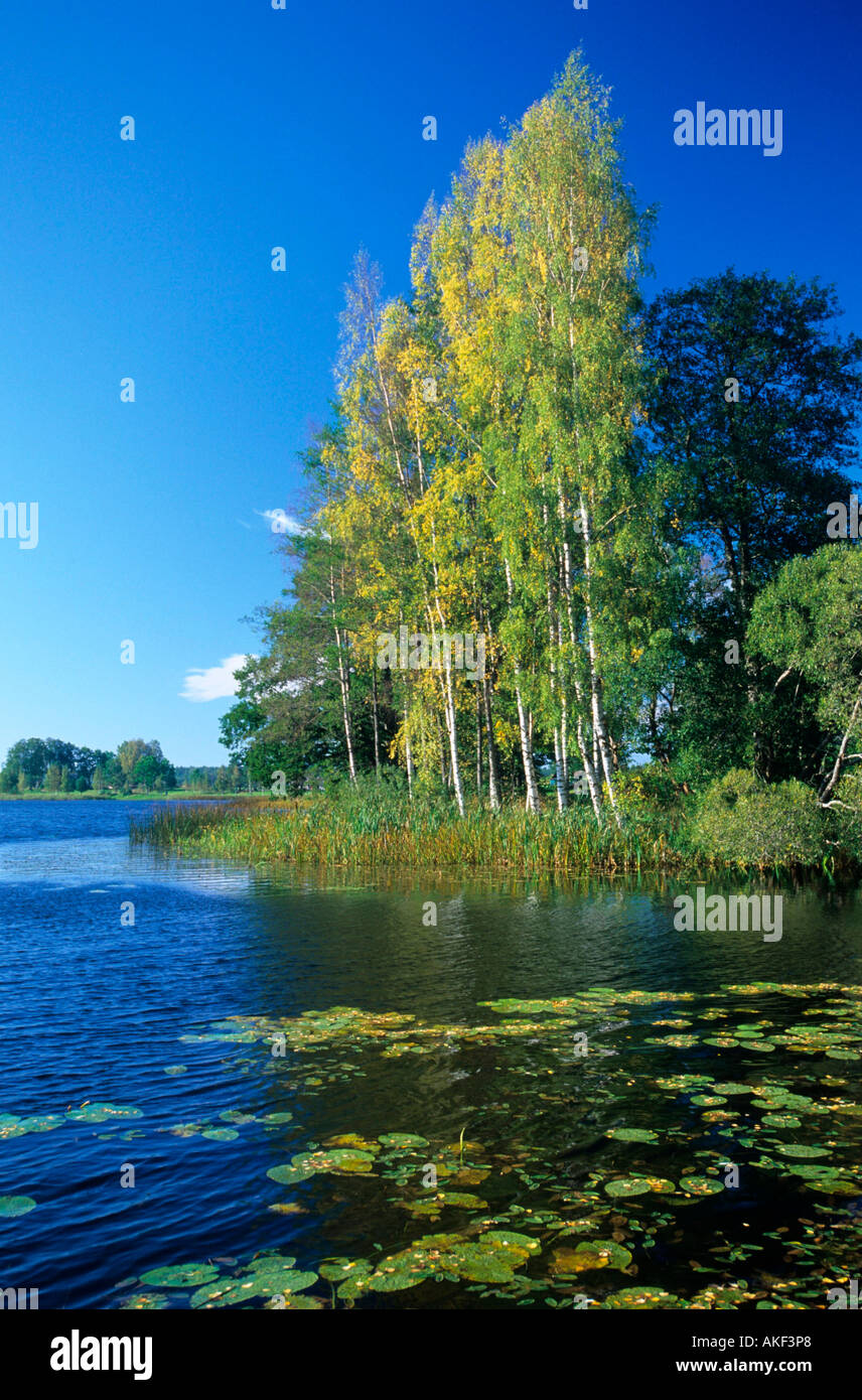 Lettland, Pace-See beim Dorf Pace westlich von Dundaga bei Talsi, Stock Photo