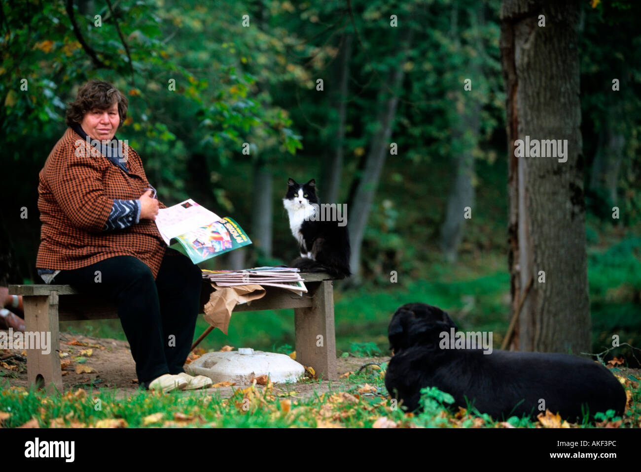 Lettland, Nogales bei Valdemarpils,im Park vom Jagdschloss Stock Photo