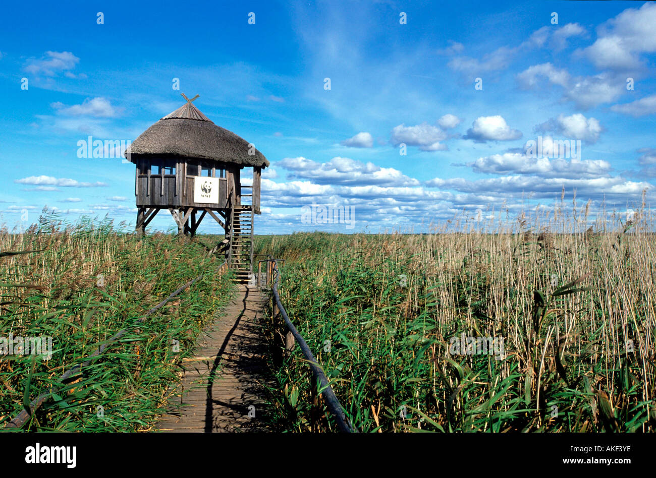 Lettland, Vogelbeobachtungsturm am Pape-See südlich von Liepaja (Liebau), Stock Photo