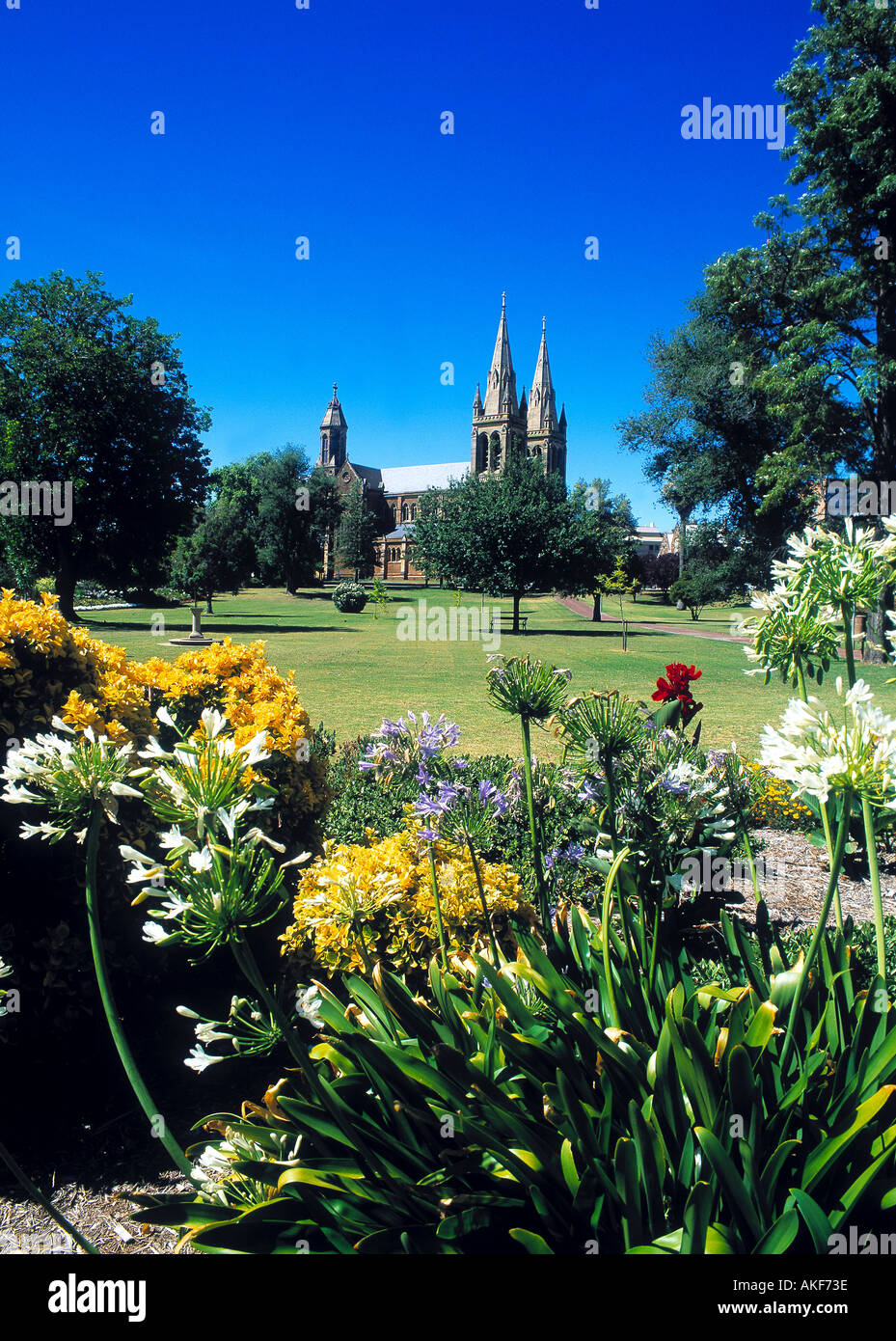 Adelaide St Peter's Cathedral Stock Photo Alamy